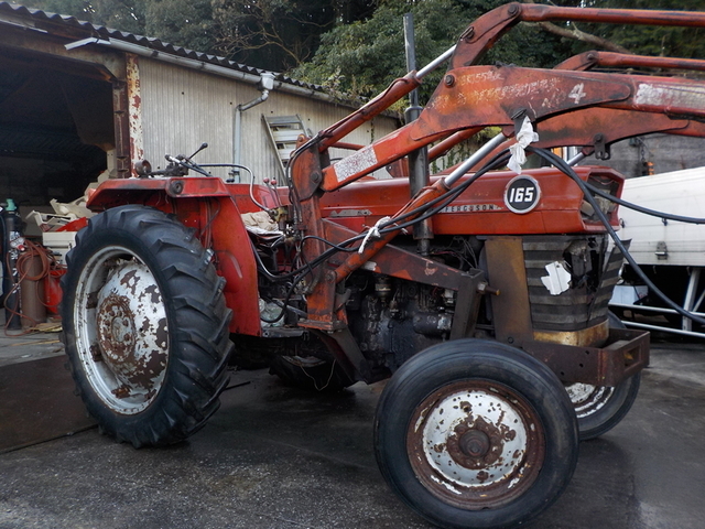  MF165